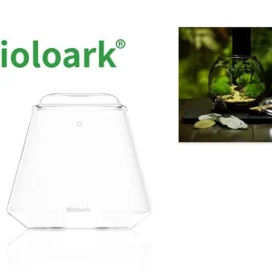 Bioloark Bubble Cup TWO, Wabi-Kusa Glas Highlight